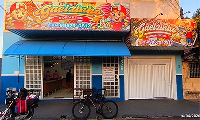 Gaelzinho Sorvetes