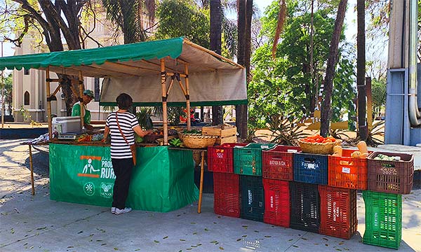Morada do Ypê - Agroecologia