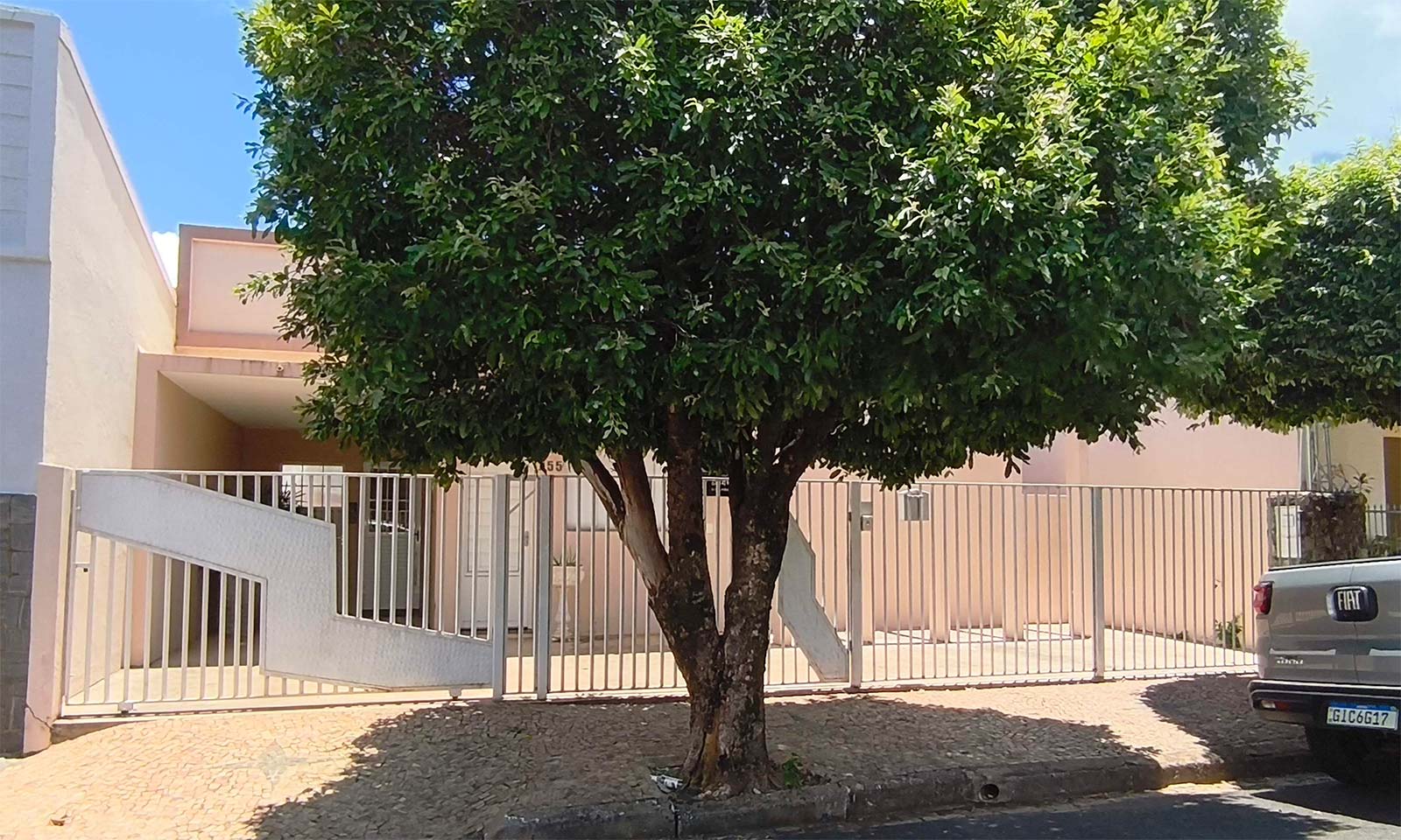 Dra. Mikaély Fernandes