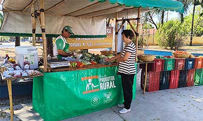 Morada do Ypê - Agroecologia
