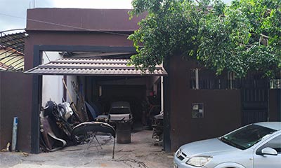 Lataria e Pintura do Sagui (Wilson Fernandes)